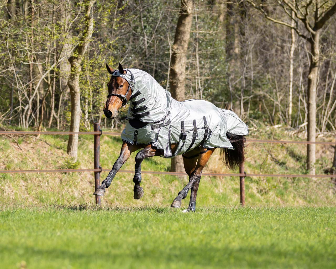 Fly sheet SmartProtection